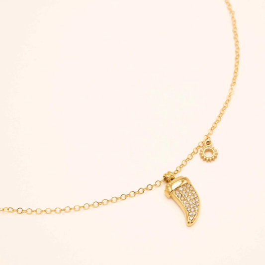 Collier corne