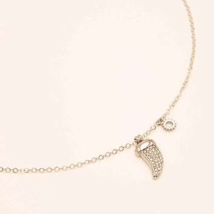 Collier corne